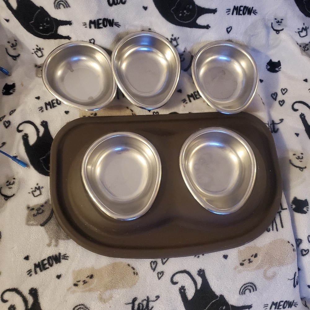 Stainless Steel Cat Or Dog Bowls with Brown Mat